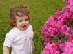 DSC00055.JPG