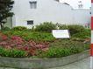 DSC00128.JPG
