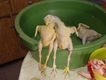 2003_11_22_09_51_38.jpg