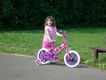 2006-06-09_10-00-40.jpg