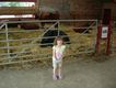 2006-06-22_15-43-18.jpg