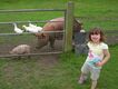 2006-06-22_15-53-45.jpg