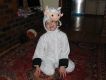 2008-11-26_17-16-46.jpg