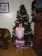 2008-11-30_16-26-19.jpg